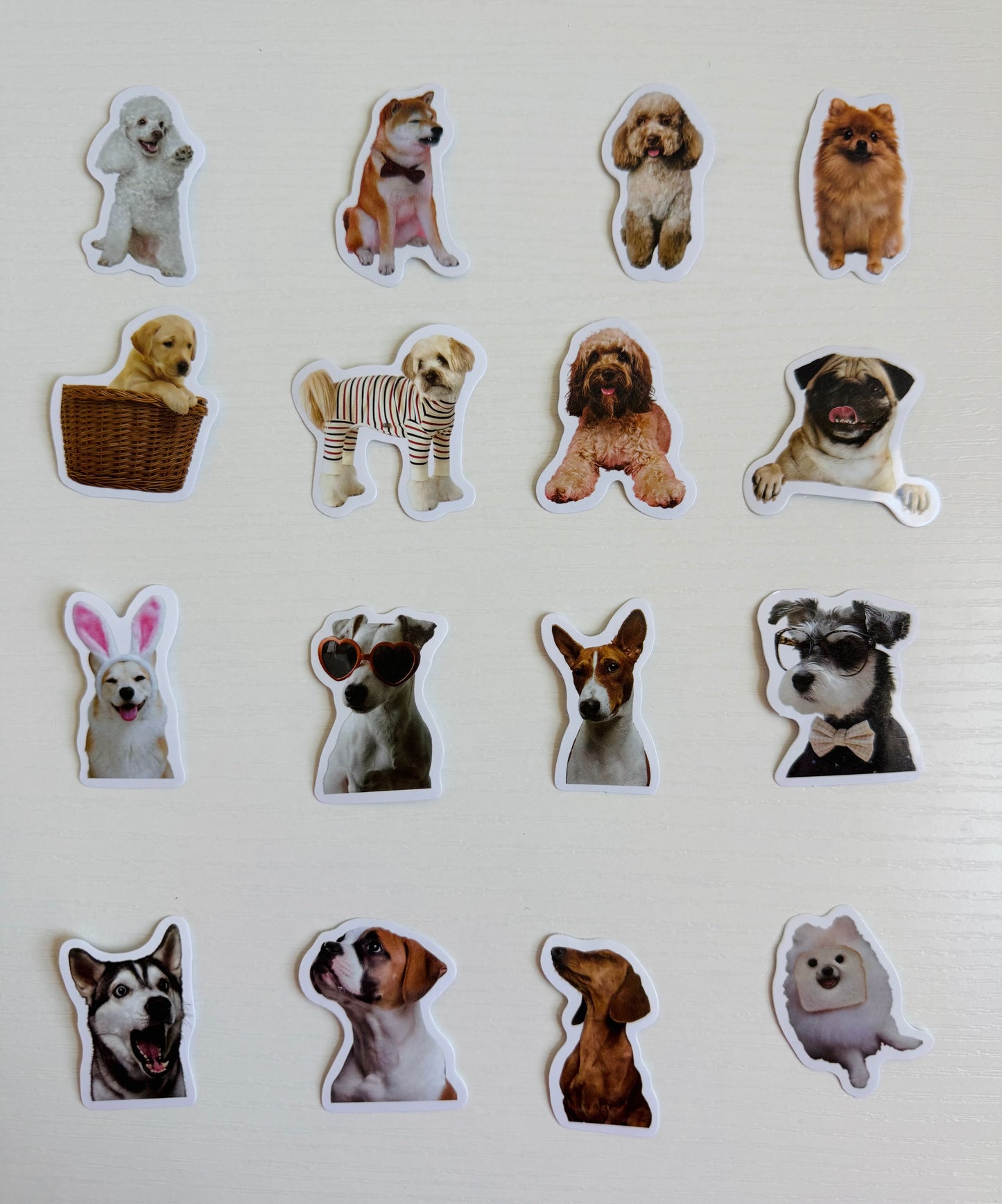 🕊️🐶 sticker set 16pcs ,for dog lovers…