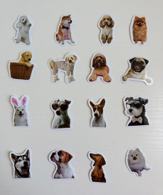 🕊️🐶 sticker set 16pcs ,for dog lovers…